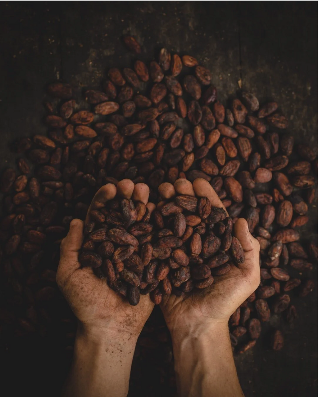 Organic Roasted Almonds