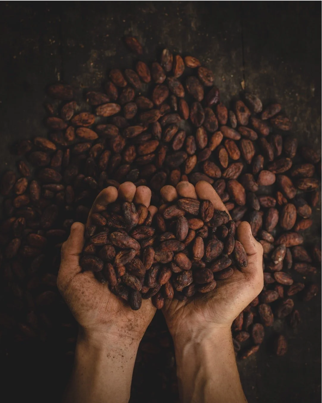 Organic Roasted Almonds