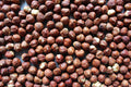 Organic Roasted Hazelnuts
