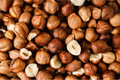 Organic Raw Hazelnuts
