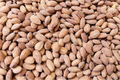 Organic Roasted and Salted Almonds