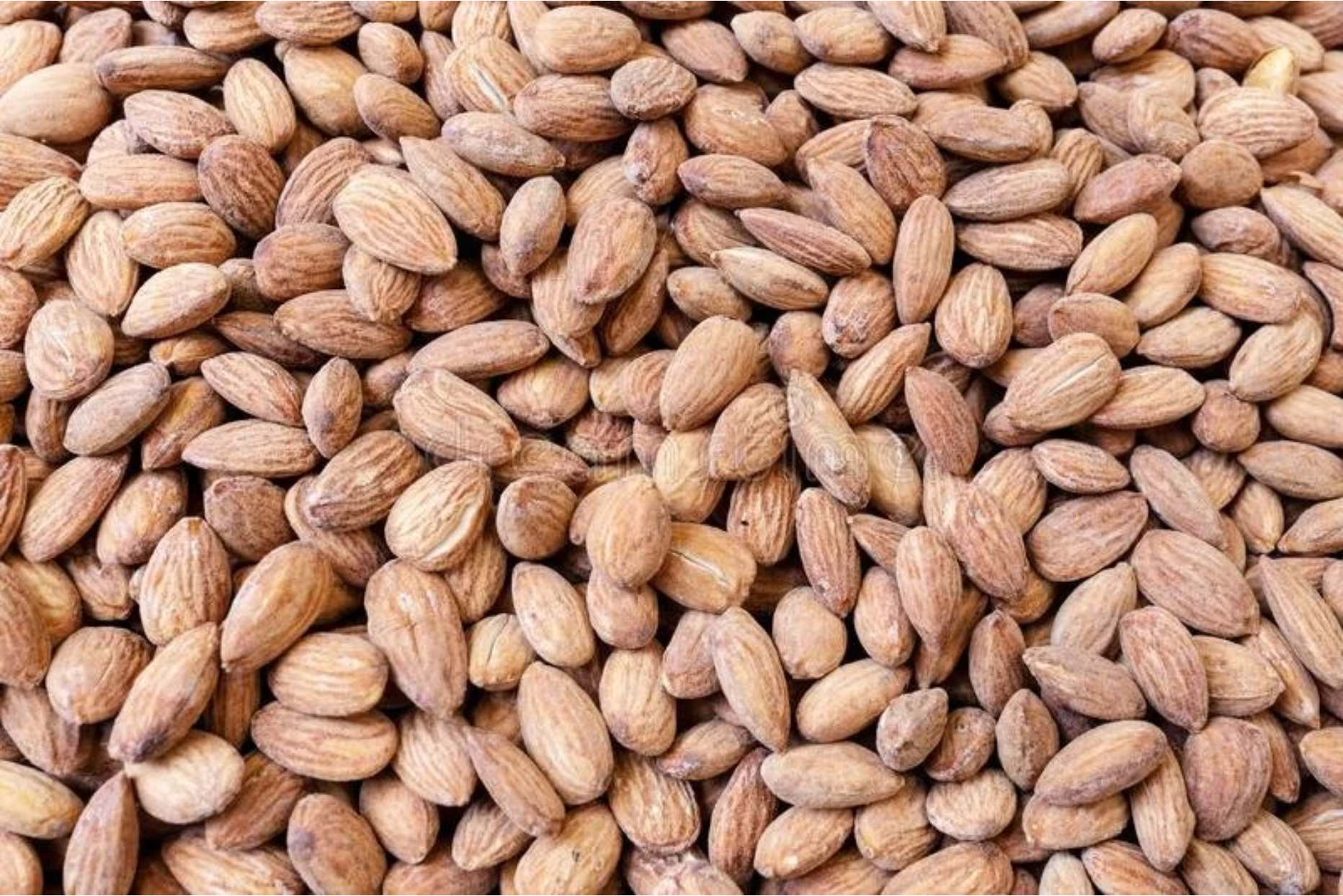 Organic Roasted and Salted Almonds