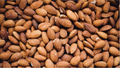 Organic Roasted Almonds